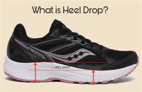 how much does heel drop cost